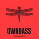 OWNBASS - Anjunabeats