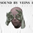 WILOSTEY MUSIC - Sound By Veins