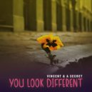 Vincent & A Secret - A Love Like No Other