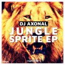 DJ Axonal - Look Behind You