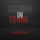 Antonio Ponti & Dove Quiete & Iltoro - sezioni interne