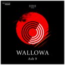 Ash 9 - Wallowa