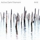 Active Dark Filament - States of Equilibrium