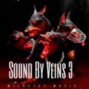 WILOSTEY MUSIC - Sound By Veins 3