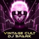 DJ Spark & Vintage Cult - Rock the Bass