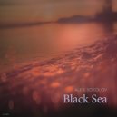 Alex Sokolov - Black Sea