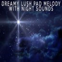 Relaxing Music Soundscapes - Dreamy Lush Pad Melody With Night Sounds