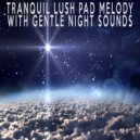 Relaxing Music Soundscapes - Tranquil Lush Pad Melody With Gentle Night Sounds