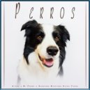 Música Para Perros & Colectivo De Música Para Perros & Ansiedad De Los Perros - Perros