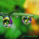 zelёnoe nebo - colors of drops