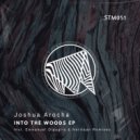 Joshua Arocha - Into The Woods