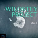 Wilostey Project - plan A