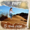 PNPT - По твоим следам