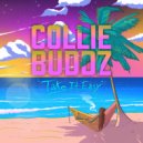 Collie Buddz & Danny Towers - Collision (feat. Danny Towers)