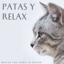 Lofi triste & Musicoterapia para gatos & Relaja a mi gato - Café Improbable