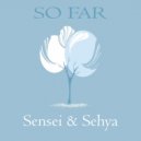 SenSei & Sehya - So far