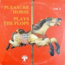 Pleasure Horse - Navajo Rug