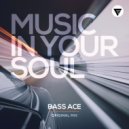 Bass Ace - Music In Your Soul