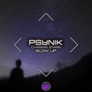 pSynik - Chasing Stars
