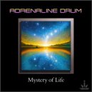 Adrenaline Drum - Midnight Shrine