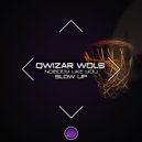 Qwizar Wols - Nobody Like You