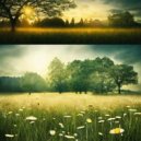 The Meadowlarks - Tranquil Fields