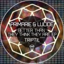 Primarie, Lucide - Better Than They Think They Are