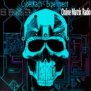 CyberKach - Experiment