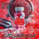 Aaron Smith Ft. Bridget Flower - Like An Addict