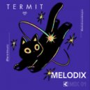 TERMIT - Melodix Mix 01