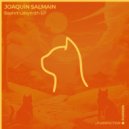 Joaqus]n Salmain - Labyrinth
