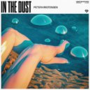Peter Kristensen - In The Dust