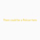 AV999 - There could be a Pelican here ()