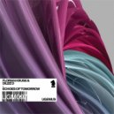 Florian Kruse, Dilee D - Lost In Transition