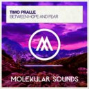 Timo Pralle - Between Hope and Fear