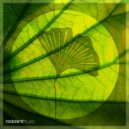 Marco Dily, Aminu - Teardrop