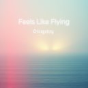 Chicagoboy - Feels Like Flying ()