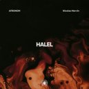 AFRONOM, Nicolas Mervin - Halel