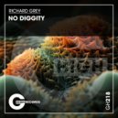 Richard Grey - No Diggity