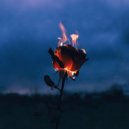 8Kays, GHEIST - Flowers & Guns