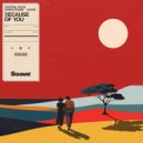 Crystal Rock, Chris Crone, AZVRE - Because Of You
