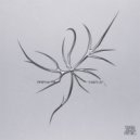 TFIFHA - Hafla