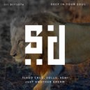 Beni, Tiago Cruz, Sollu - Just Another Dream