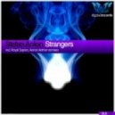 Stefan Anion - Strangers (aeron Aether Remix)