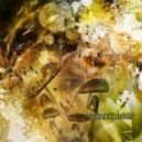 PsyShark - XTC