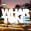 Ant Brooks - Afterhours (Ben Malone Remix)