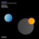 Exoplanet - Shepherd Of Consciousness (Moonbeam Remix)