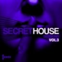 Josh The Funky 1 - Rock To The Beat - Alex Salvador & Sebastien Lintz Remix