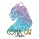Tensnake - Need Your Lovin