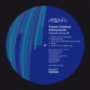 Cosmic Cowboys & Echonomist - Need To Know